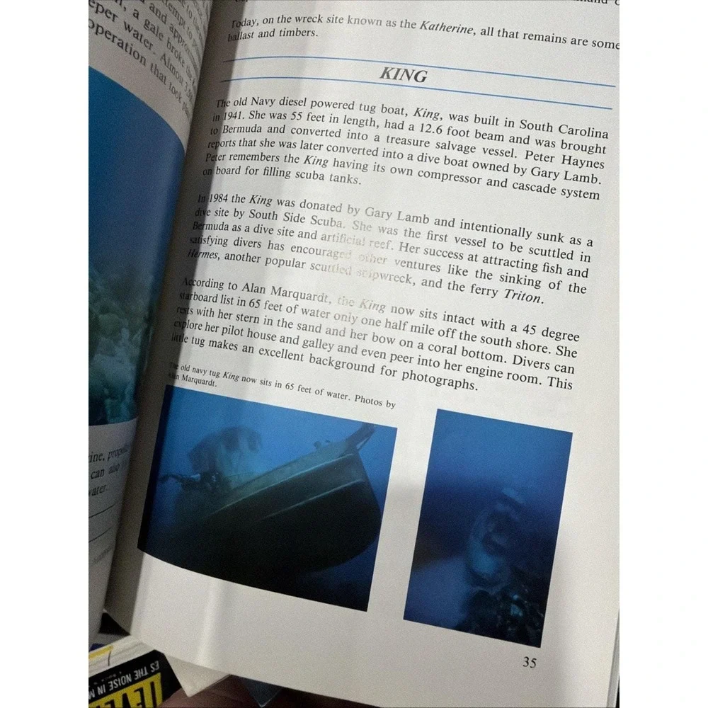 BERMUDA SHIPWRECKS Shipwreck Treasure Lost Ships Ship Reef Diving Dive Book